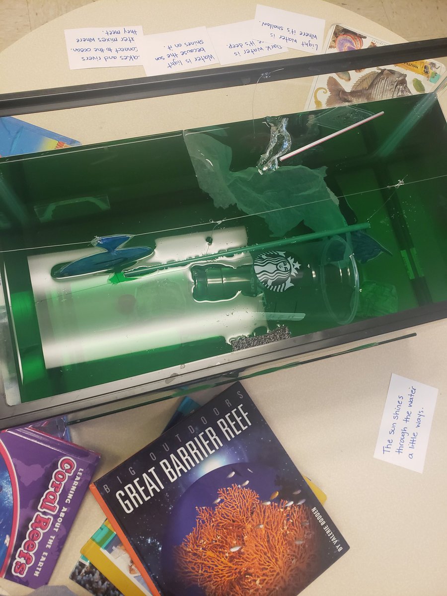 mrsheadlre's tweet photo. What happened to our beautiful aquarium? #thoughtprovoking #HSEFutureReady #readytotakeaction https://t.co/0NVOupCCin