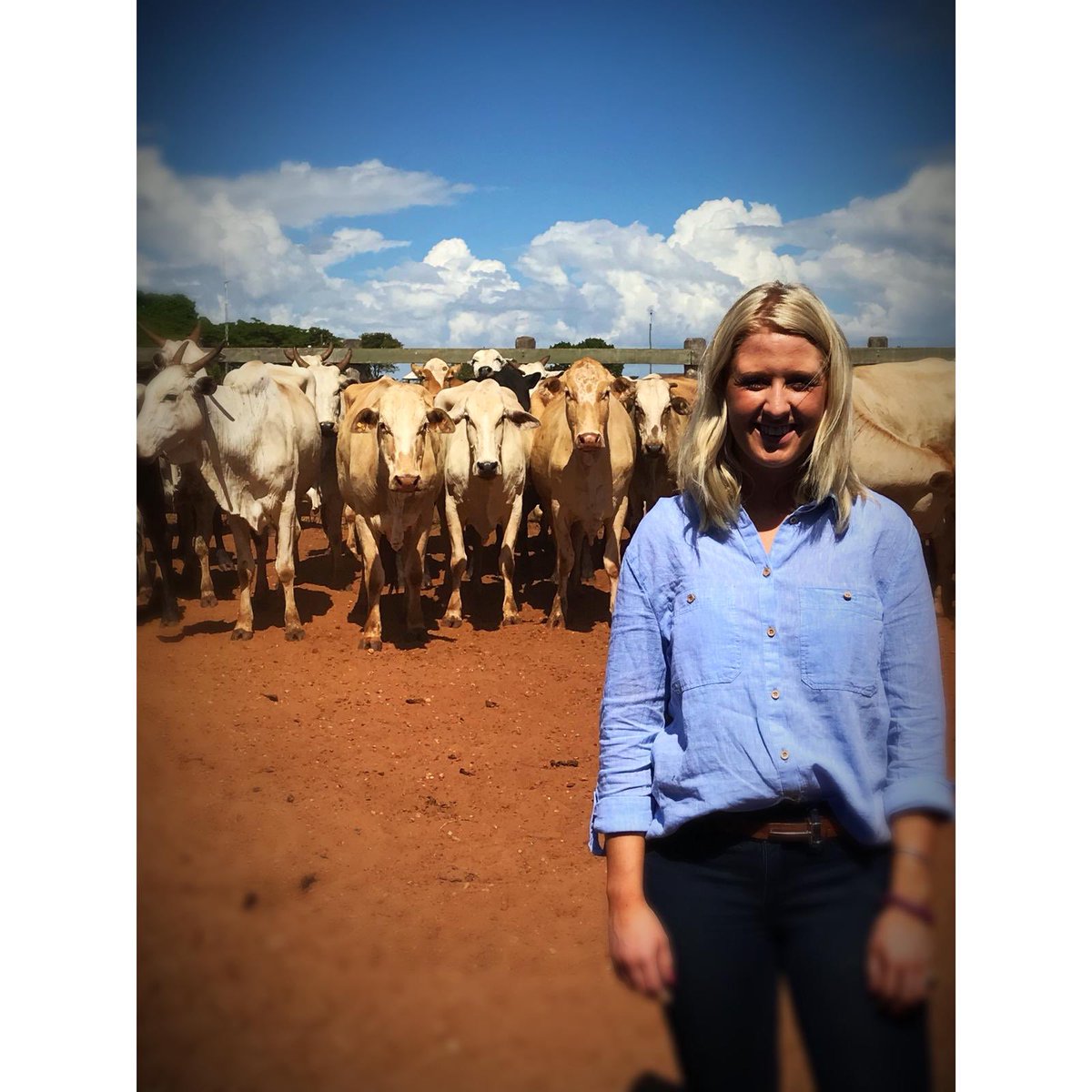 JessicaSimms11's tweet photo. Fantastic few days exploring the influence of British genetics on the Brazilian beef industry 🐮#Brazil #agriculture https://t.co/khTTfreX3I