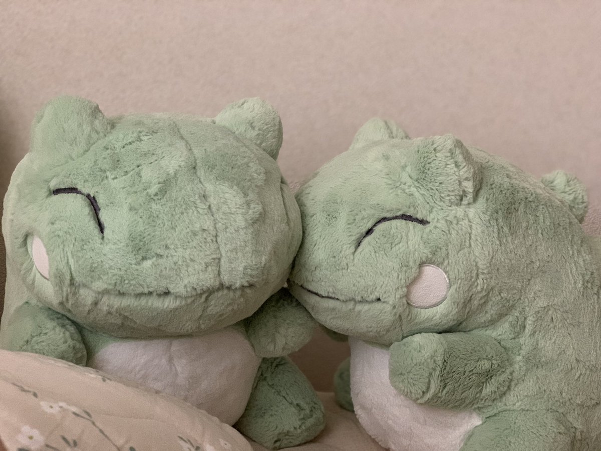 みがわりぬいぐるみ みーすけもみーちゃんも可愛い 天使