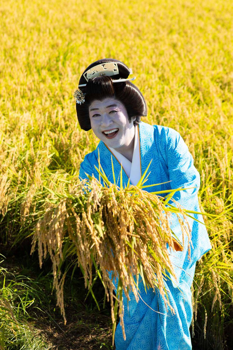 ofuku029's tweet photo. 稲刈り〜豊年満作

黄金色〜金運アップできそうです。
幻の多古米タコ〜多幸
凄く縁起イイですね！ https://t.co/lqz1gLsOxN