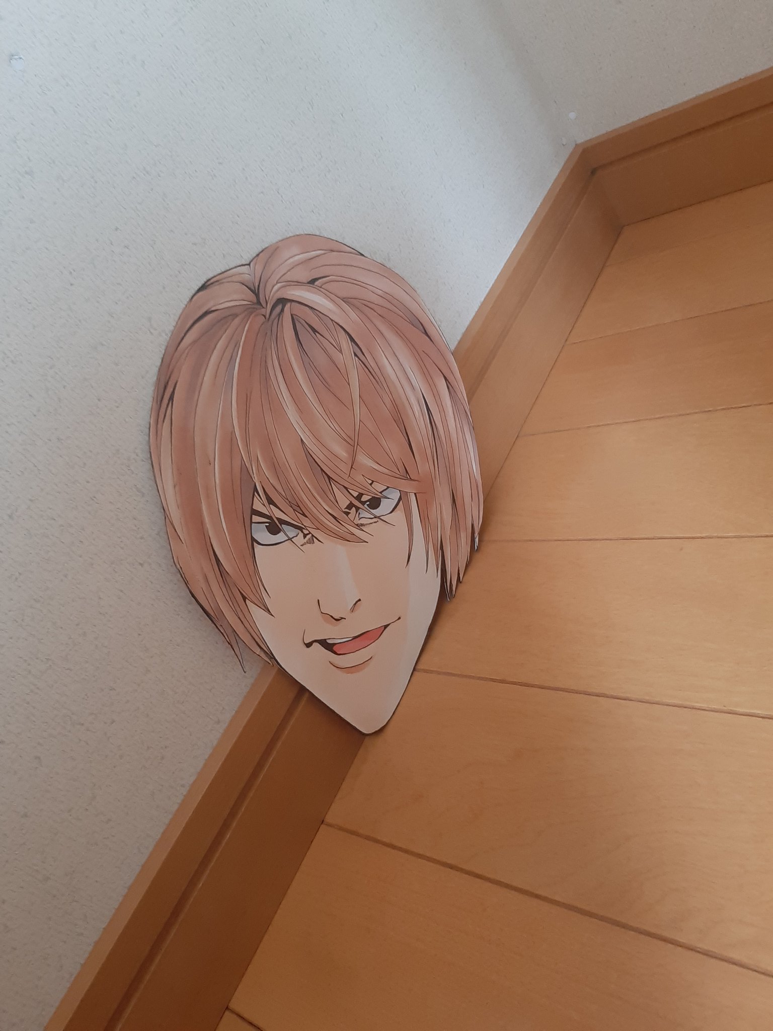 掃除をしようと思って収納ケースをどかしたら 隙間から夜神月の顔が出てきたw 話題の画像プラス