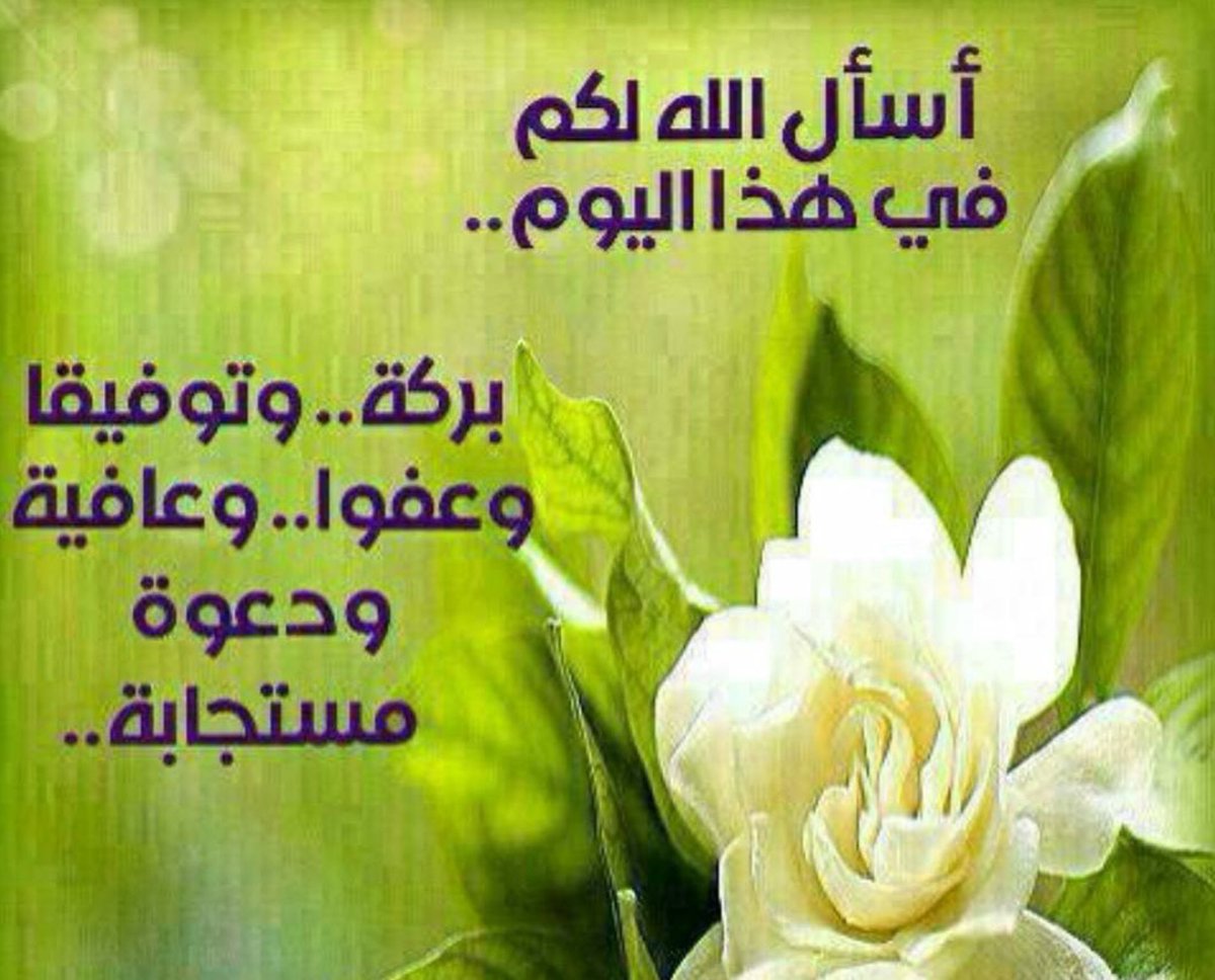 RRRR1000rrrr's tweet photo. https://t.co/XvNstMbjdA