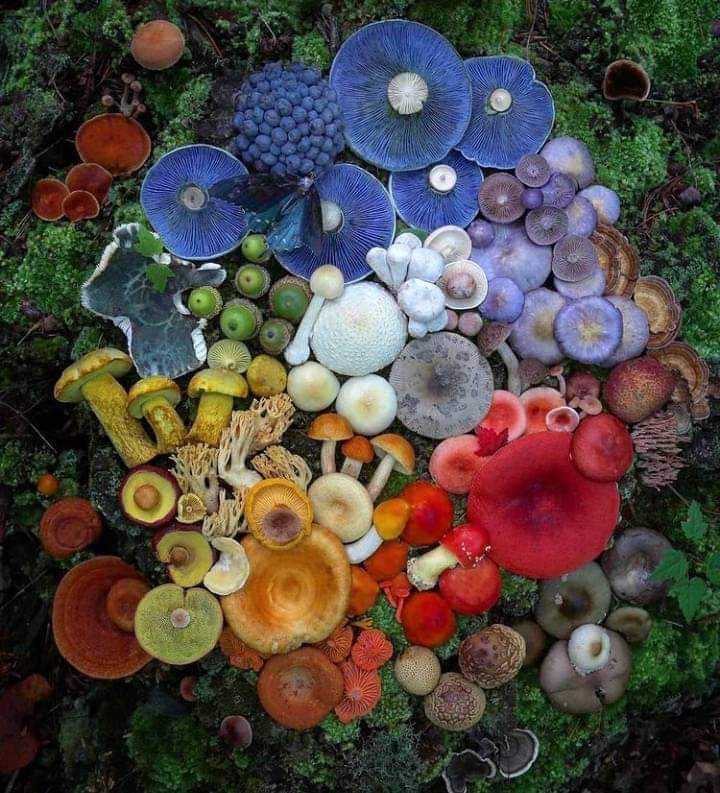 Marieta Marin Bruzos tweet media