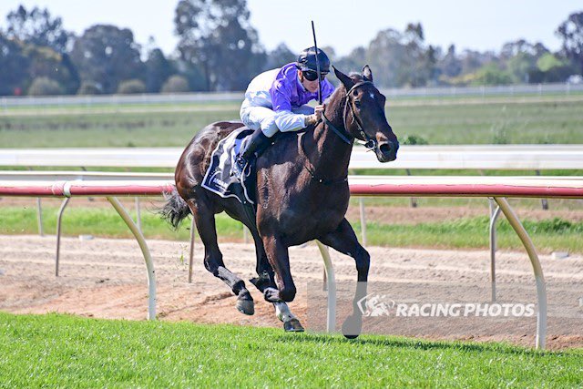 Zac Spain (@lil_spaino96) on Twitter photo Nice little hit and run double today at Echuca for <a href="/cmcdonaldracing/">C McDonald Racing</a> and <a href="/FreedmanRacing/">Anthony Freedman Racing</a>. Progressive fillyβs with more in store! ππ» Nice little hit and run double today at Echuca for <a href="/cmcdonaldracing/">C McDonald Racing</a> and <a href="/FreedmanRacing/">Anthony Freedman Racing</a>. Progressive fillyβs with more in store! ππ»