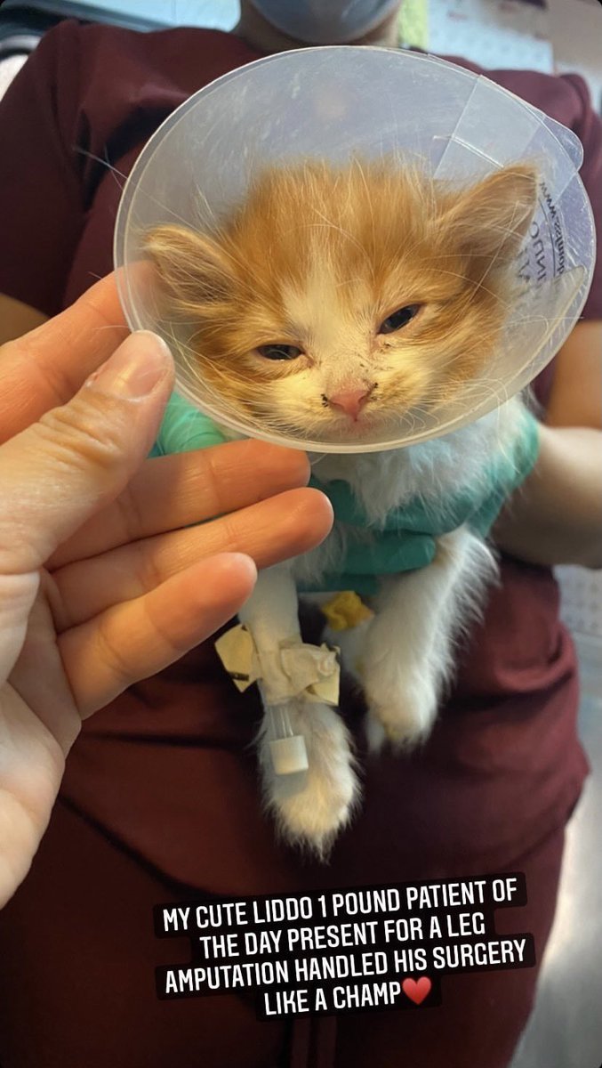 sidekickryan's tweet image. Thanks again to @ingridvvaleria for saving the day! ✨