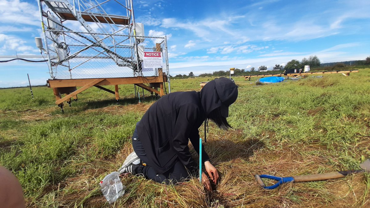 I finally got to see the new tower at the tidal site! Here's the proof of <a href="/tzuyilu/">Tzu-Yi Lu</a> working hard as usual 💪