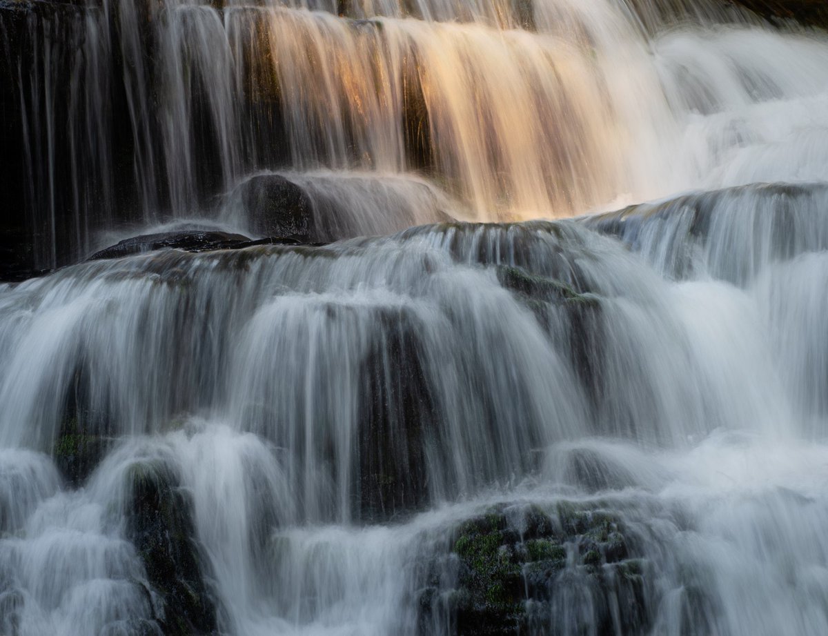 cmstateofphoto's tweet image. Hey everyone! I just made it to 2021 followers, which means it’s time for a print giveaway!

RT to be entered!

I’ll do a random selection of 2 names for a 12x18 print of the image featured below.