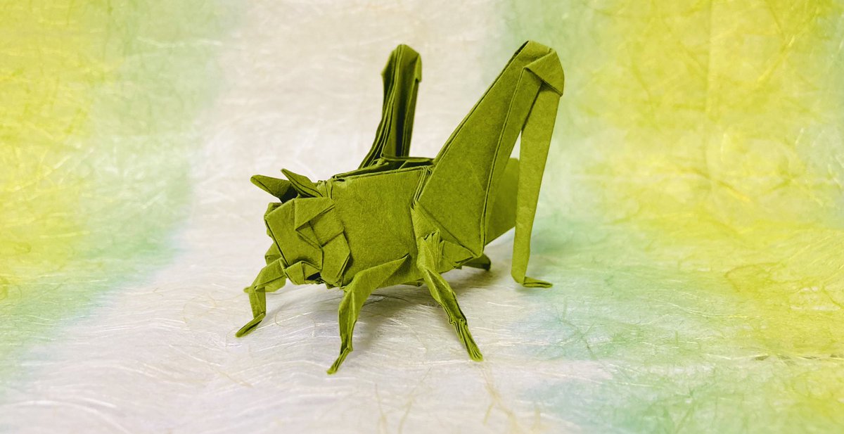 かーくん トノサマバッタの折り方を投稿しました Origami Grasshopper How To Fold 折り紙 トノサマバッタの折り方 T Co A5cbjinhre Youtubeより 折り紙 Origami バッタ Grasshopper ハンドメイド T Co Znvpqyctki