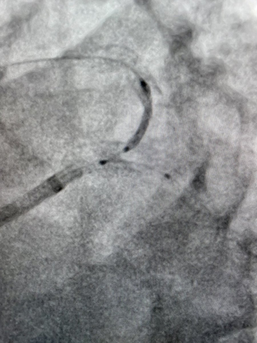 Rodrigo V. Wainstein, MD, PhD tweet media