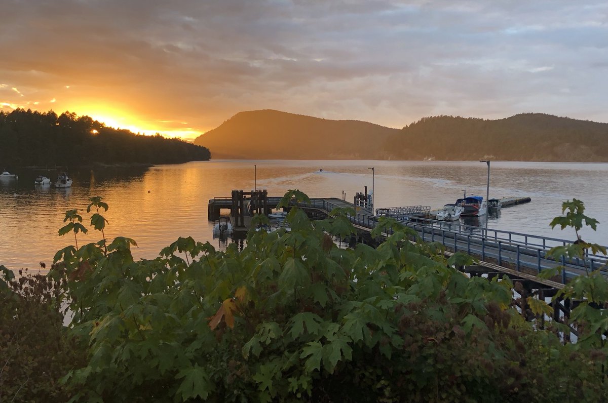 Friday feed cleanse.