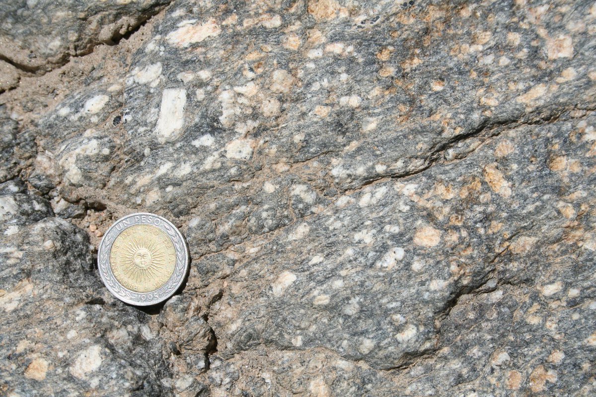 Day 55: A mylonitic granite. I wonder if the rectangular porphyroclasts started as a longer leucocratic layer that boudinaged into pieces…? Or can rectangular porphyroclasts from naturally from granitic phenocrysts? Any ideas? 
#100daysofgeoscience