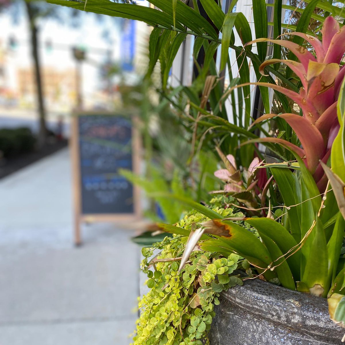 It’s Second Saturday! And, there’s some extended hours thanks to our downtown retailers. Where will we find you scoping out the nearly-fall sales?

📸 instagram.com/p/CTqk0YEtAO3/ via tweet.photo