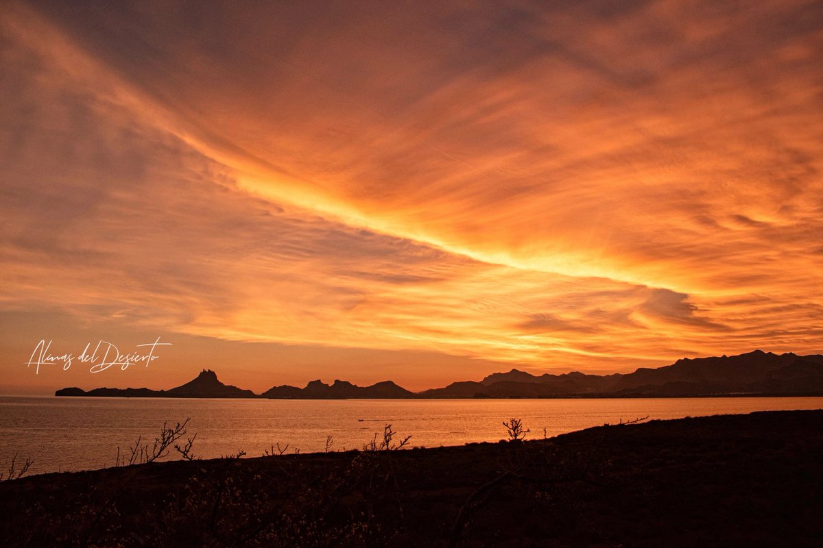 Almasdeldesier1's tweet photo. Hermoso atardecer desde Guaymas 
@ocvguaymas @VisitSonora https://t.co/JYz1XXvKgB