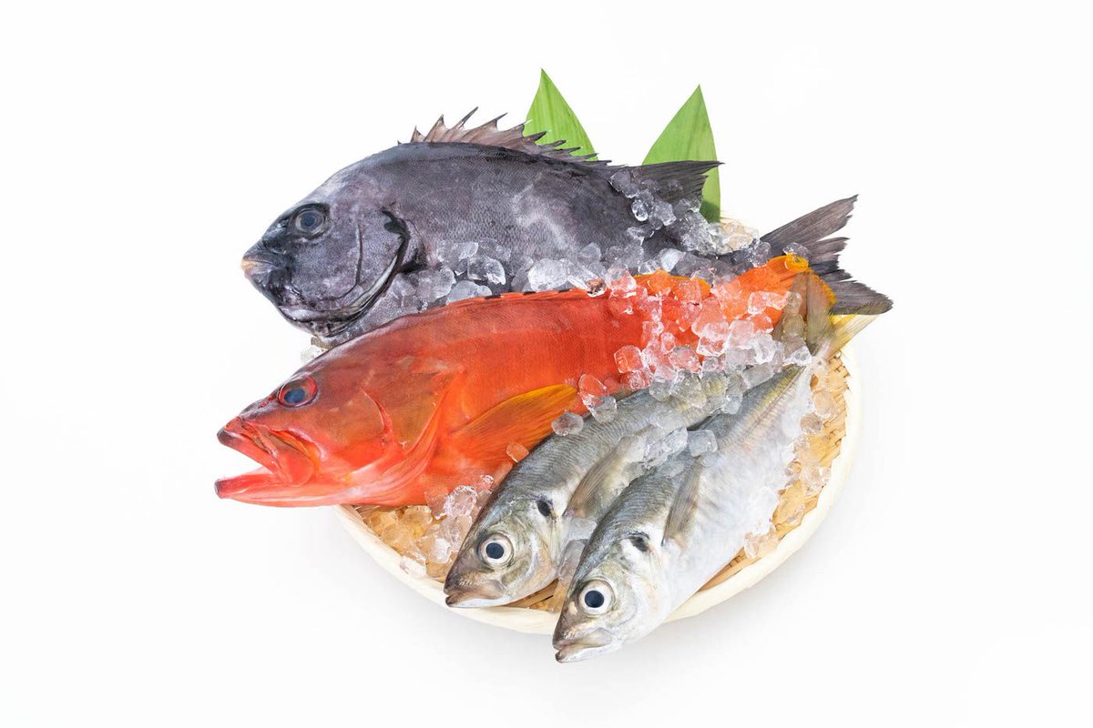 釣りスピ