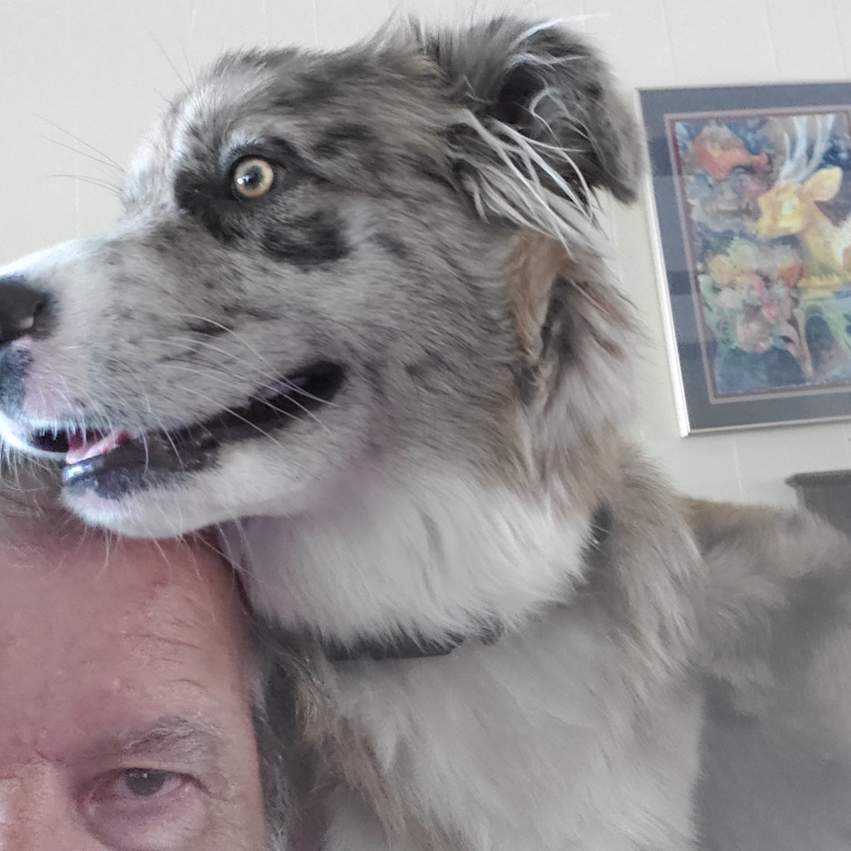 don909tiny's tweet image. #NewProfilePic