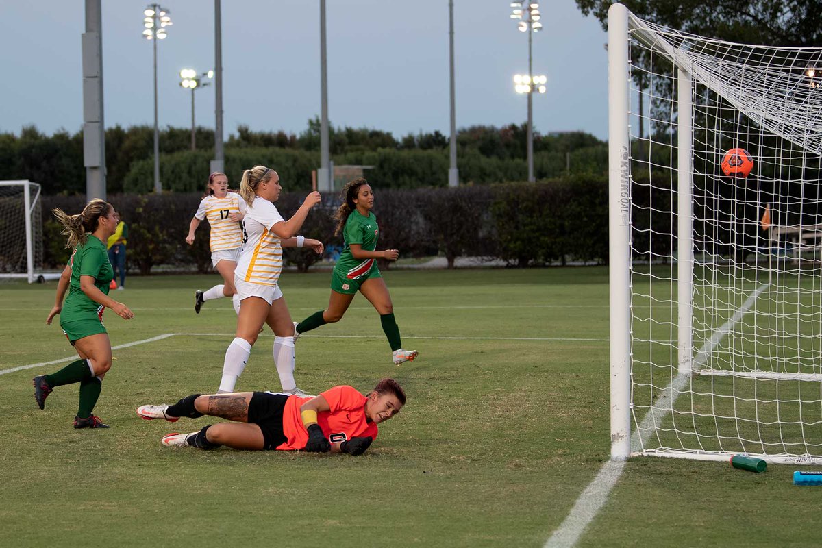 dougfejer's tweet photo. @UTDCOMETSPORTS @UTDwomenssoccer 

So if you're #6 and you score a goal......

How many hugs to you get?

Is there a proper number?

(Two more photos in the reply.) https://t.co/RCDaj4po0Q