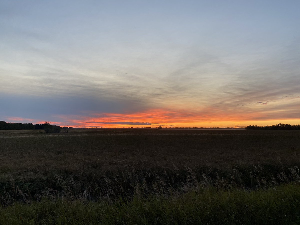 darindecker's tweet photo. Gotta love the scouting sunsets #hunt2021 #absunset https://t.co/oF8RkLhynN