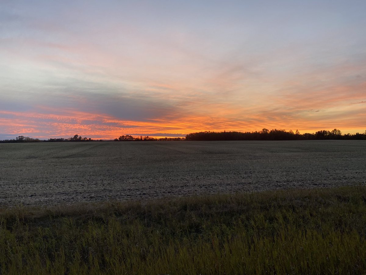 darindecker's tweet photo. Gotta love the scouting sunsets #hunt2021 #absunset https://t.co/oF8RkLhynN