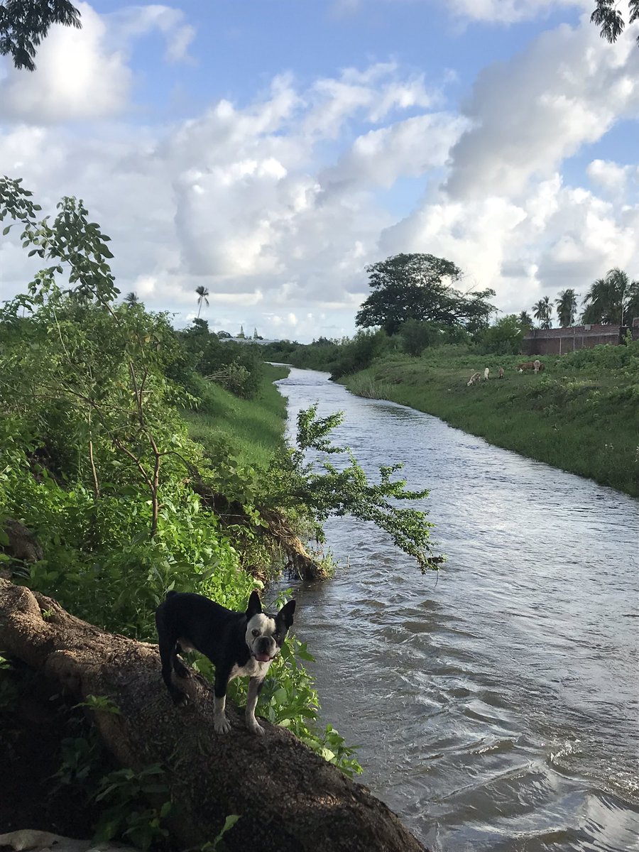 fer_aventura's tweet photo. #dogscout https://t.co/D1RHVMt6r8