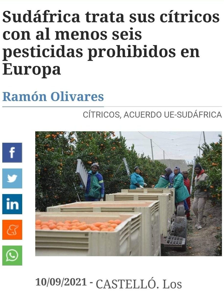 El Palleter tweet media