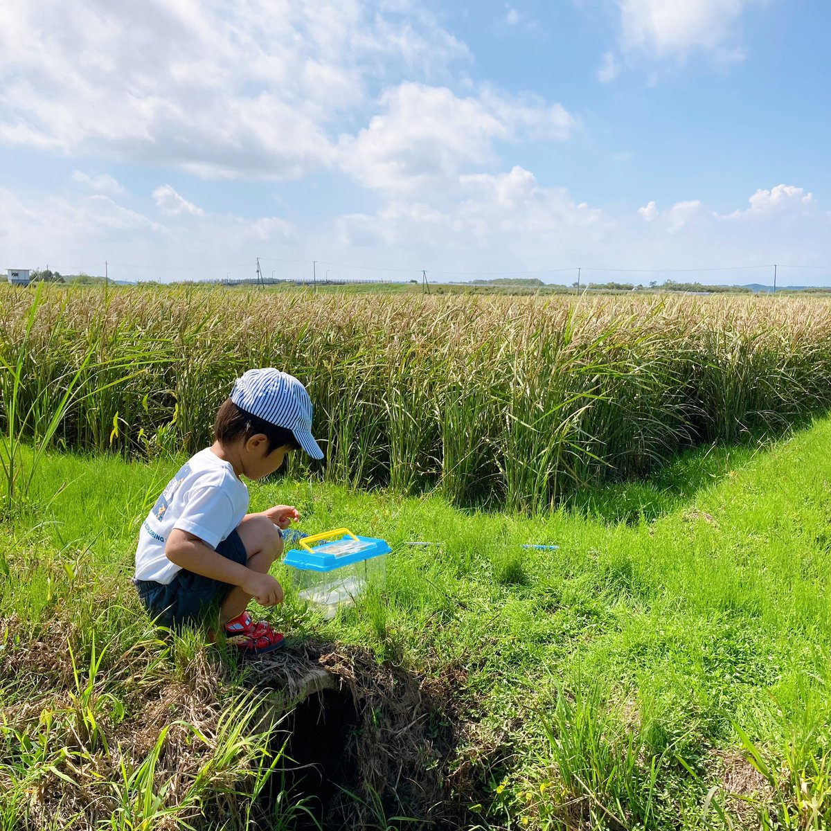 #フリーランスママ の日常

平日はWebライター👩🏻‍💻
休日は虫取りハンターやらさせていただいております👩🏻‍🌾