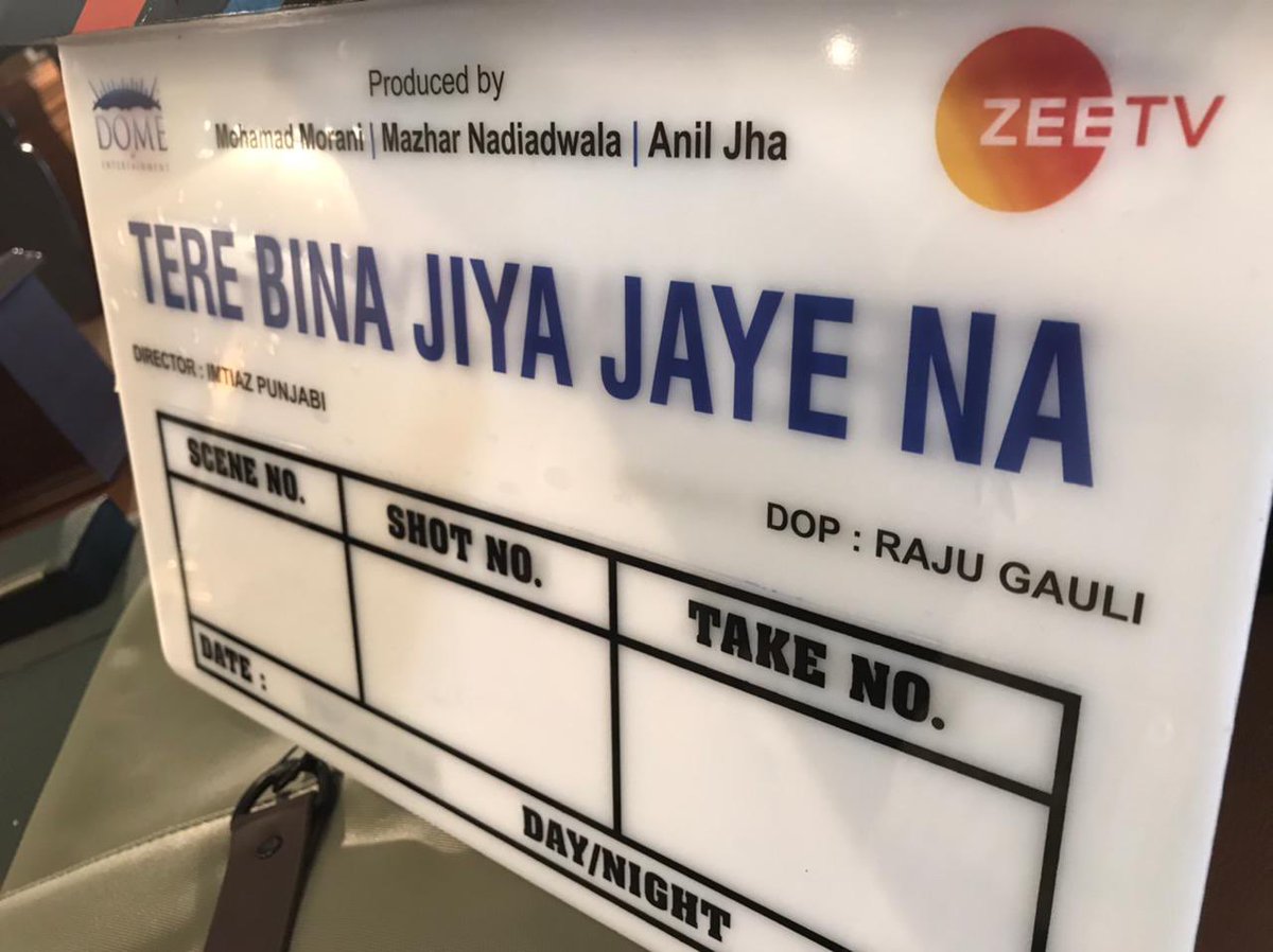 Lights, camera, action 🎬🎥 Mahurat of #TereBinaJiyaJayeNa a show produced by @domeofentertainment for @ZeeTV