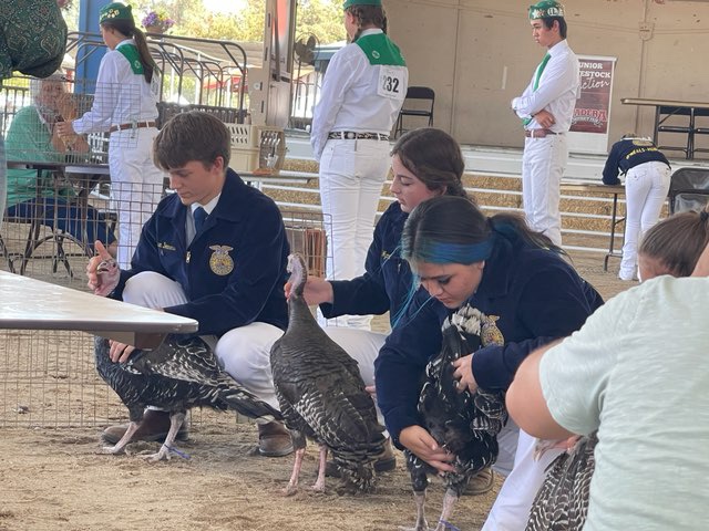 FirebaughFFA's tweet photo. Congratulations to our Small Animal Round Robin participants! Breanna Wyant received 2nd place, Chisum Demmers received third place, and Janet Rios received 4rth place. https://t.co/3PPrlRdLeV
