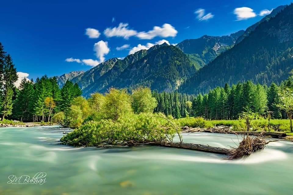HimalayaClubPK's tweet photo. السلام علیکم ورحمۃ اللہ 
صبح بخیر ۔۔۔۔! 
کمراٹ ویلی ۔۔۔! 
#kumrat #NaturePhotography
#naturelovers #BeautifulPakistan
📷فوٹو بشکریہ: 👈 @kumratvalley https://t.co/nHuYacLFK9