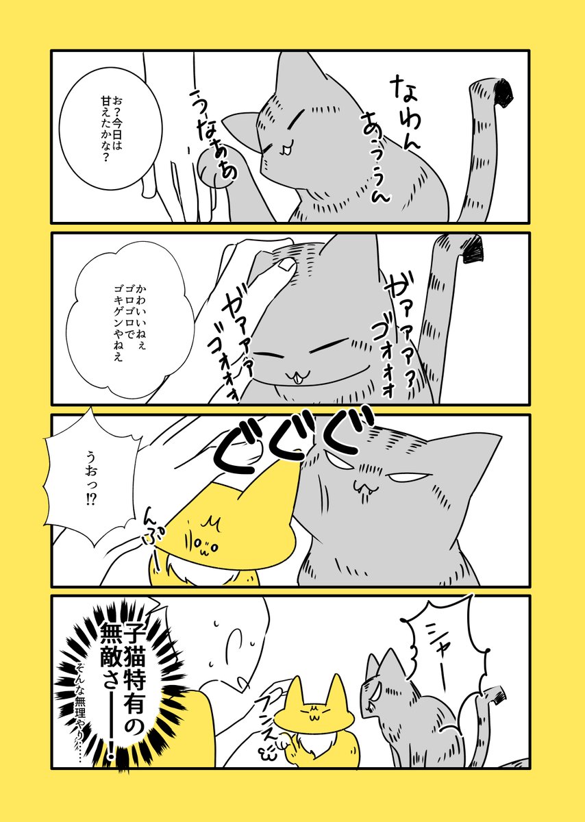 猫と子猫と無敵さ
https://t.co/PU41cejRgT 