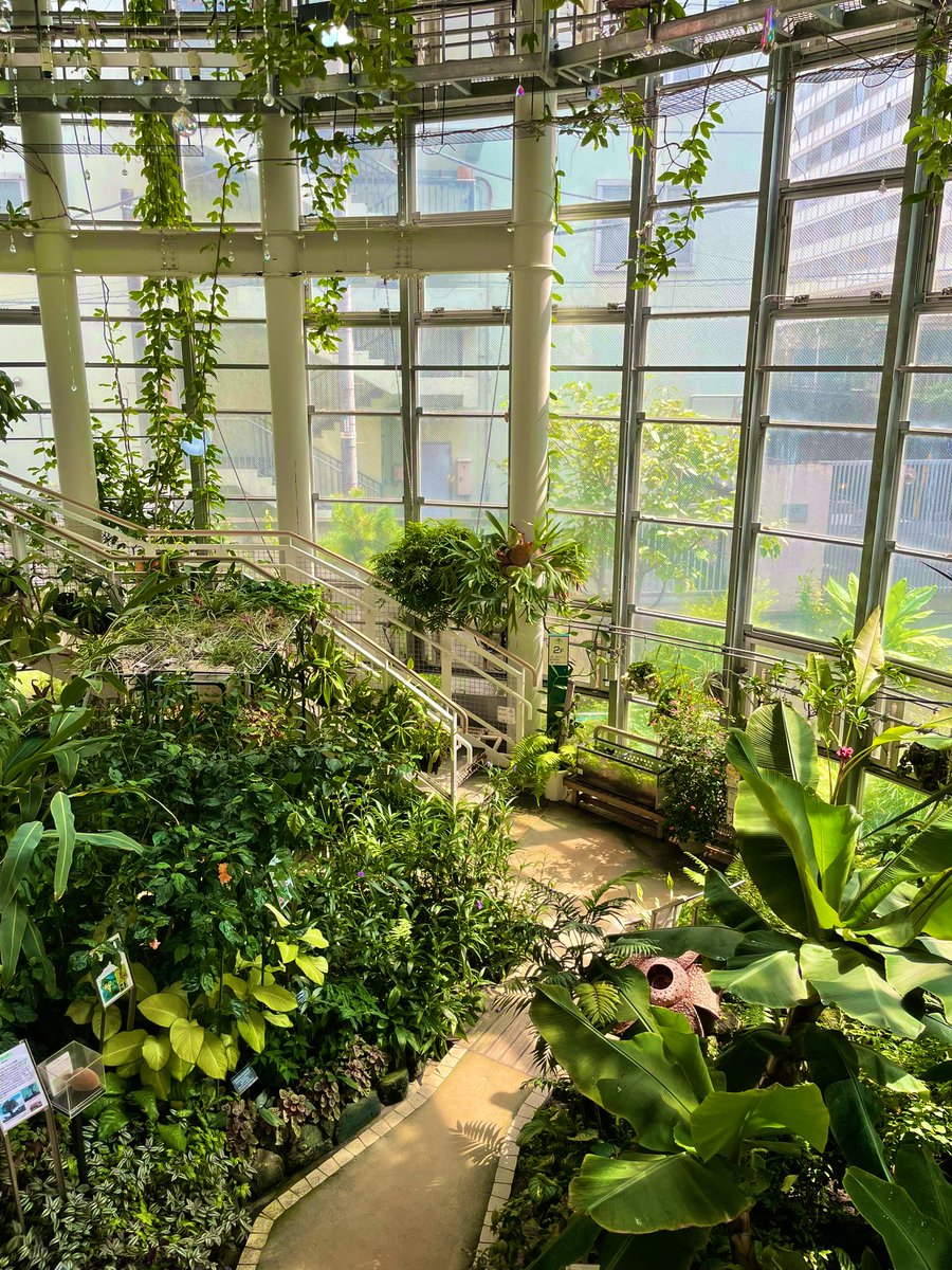 渋谷のちっちゃい植物園 ふれあい植物センターに行ってきました 