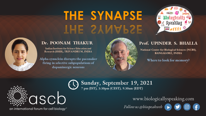 biospeakweb's tweet photo. 🔊Join 𝐓𝐡𝐞 𝐒𝐲𝐧𝐚𝐩𝐬𝐞- a special session with Dr. @poonam_thakur6 from @tvmiiser &amp; Prof. Upinder S Bhalla from @NCBS_Bangalore on @biospeakweb!
🗓️Sept 19, Sunday, IST 7 PM
Register👉https://t.co/DVIoG4YxmQ
Sponsor👉@ASCBiology
#scicomm #biospekweb
@bio_iisertvm @bhalla_lab https://t.co/H0h62sURBA