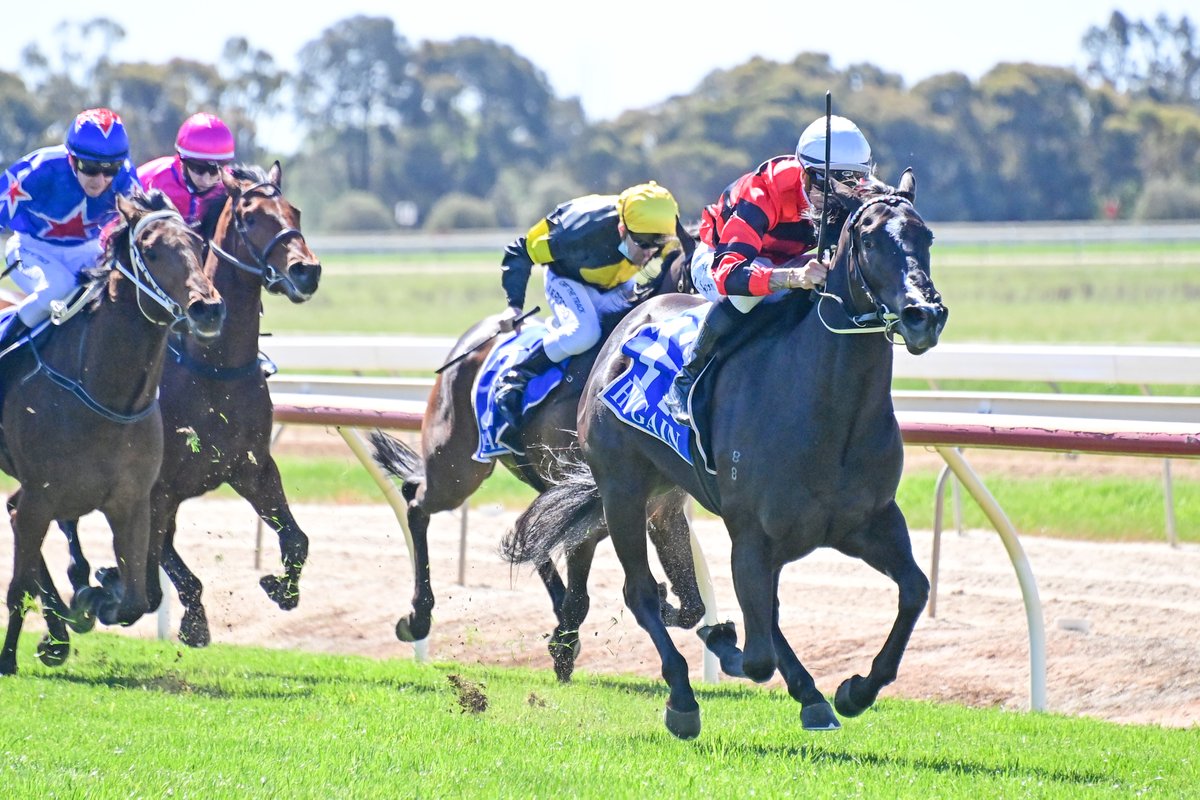 A handy start to the day at <a href="/EchucaRaceClub/">Echuca Racing Club</a> for jockey <a href="/lil_spaino96/">Zac Spain</a>, claiming two wins and a minor placing from the first five races.

#CountryRaces #SpringRacing