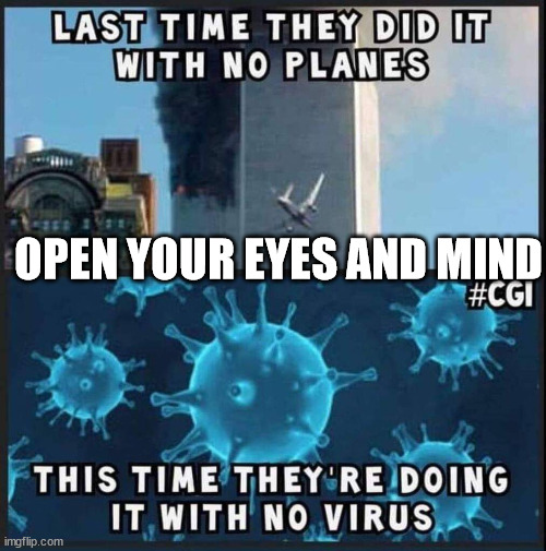 People chose which lying 'experts' to blindly believe. Even virology says 'viruses' aren't alive so they can't spread. Real planes don't melt into buildings. People believe in the impossible and dismiss simple truth as crazy. If you don't think critically you can believe anything