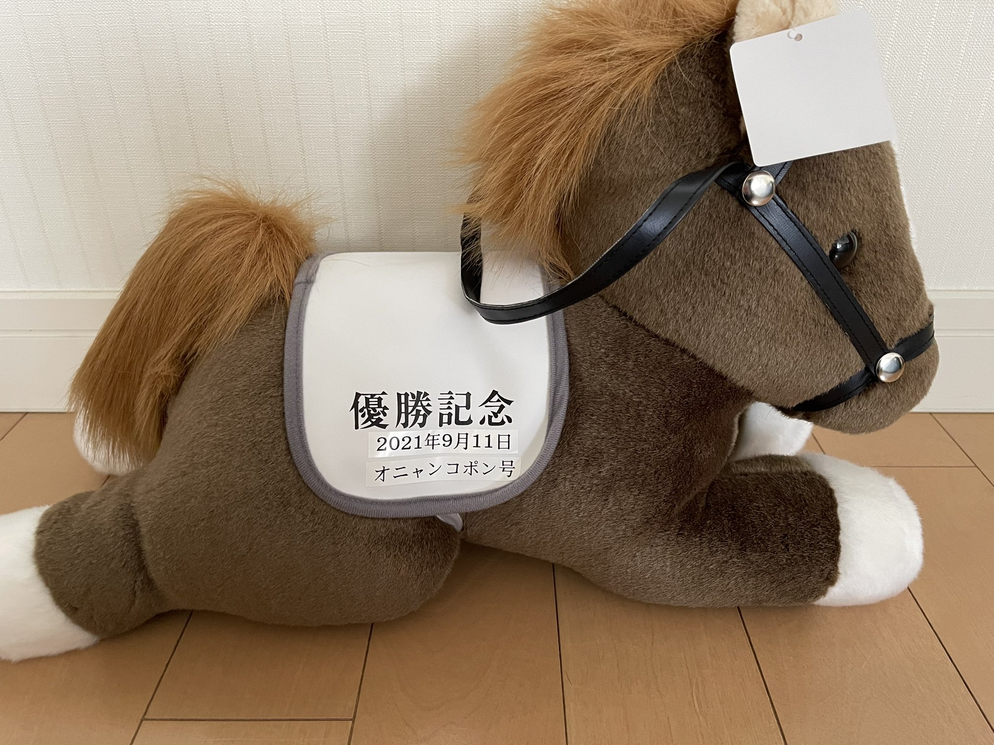 Twitter 上的 日本中央競馬会 零細個人馬主 愛馬オニャンコポン 中山5r新馬戦 愛馬オニャンコポン号勝利しました 暖かい声援を送っていただいた方々 関係者の皆様ありがとうございました 中山競馬場 オニャンコポン 競馬 進撃の巨人 T Co Mbehdmejsl
