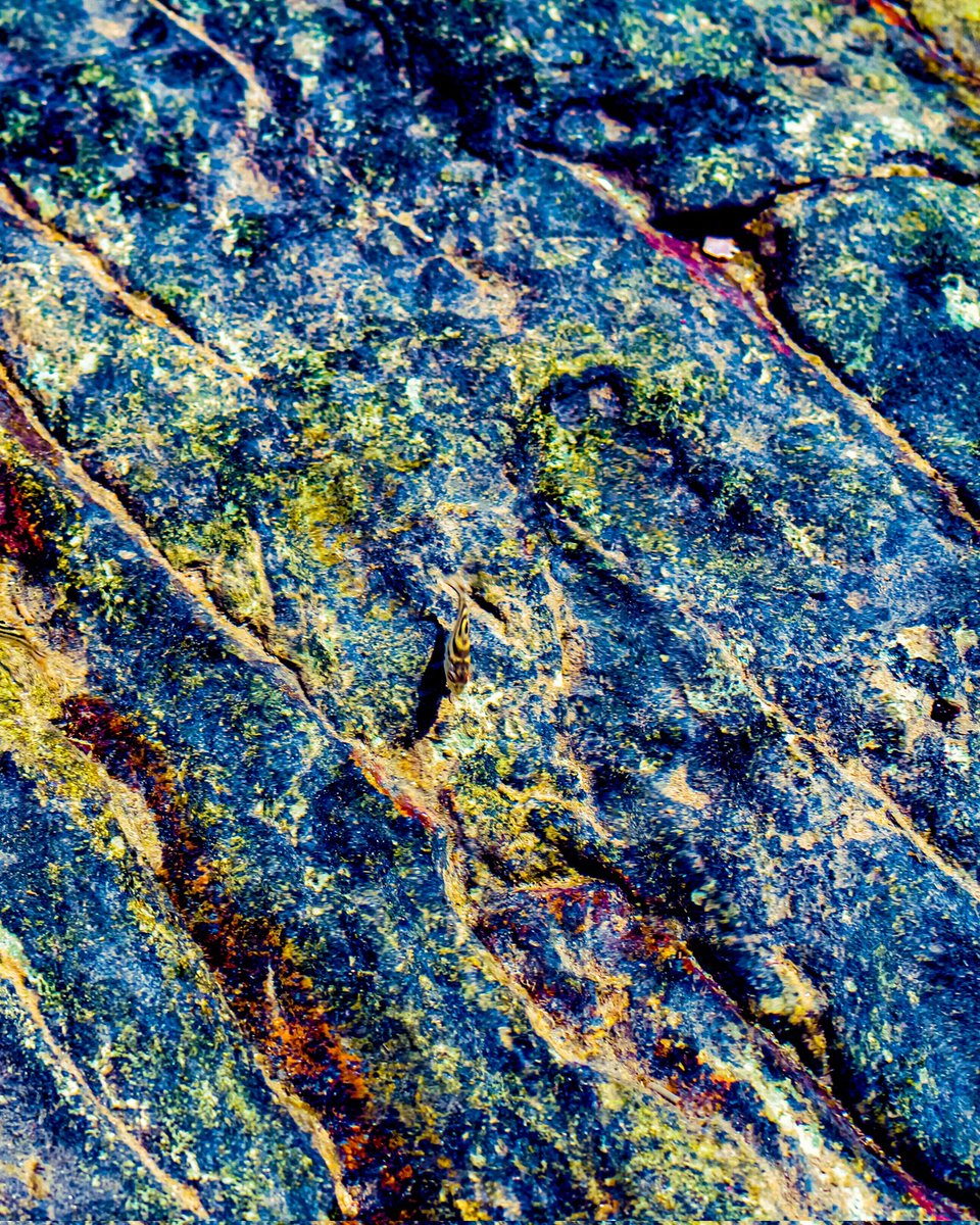 instaveller's tweet image. The Abstract.. @Canon_India @CanonUSAimaging @NatGeoPhotos @NatGeo @NatGeoTravel #photography #travel #travelphotography #abstractart #art #artwork #digital