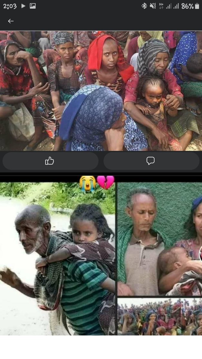 mohamed dagnaw (@dagnawmohamed) on Twitter photo 