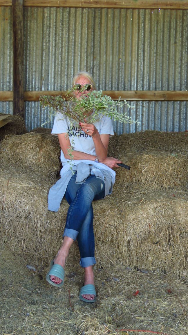 AllisonFoat's tweet photo. Hessequa highlights: Heidelberg & Skeiding guest house & working farm. Pure bliss.
#explorersgardenroute #roadtrip #heidelbergSA #meetsouthafrica #headingtohessequa #sharesouthafrica #travel #golocal #farmstay #hessequa #localislekker #howzitsouthafrica https://t.co/k8tFXWifLn