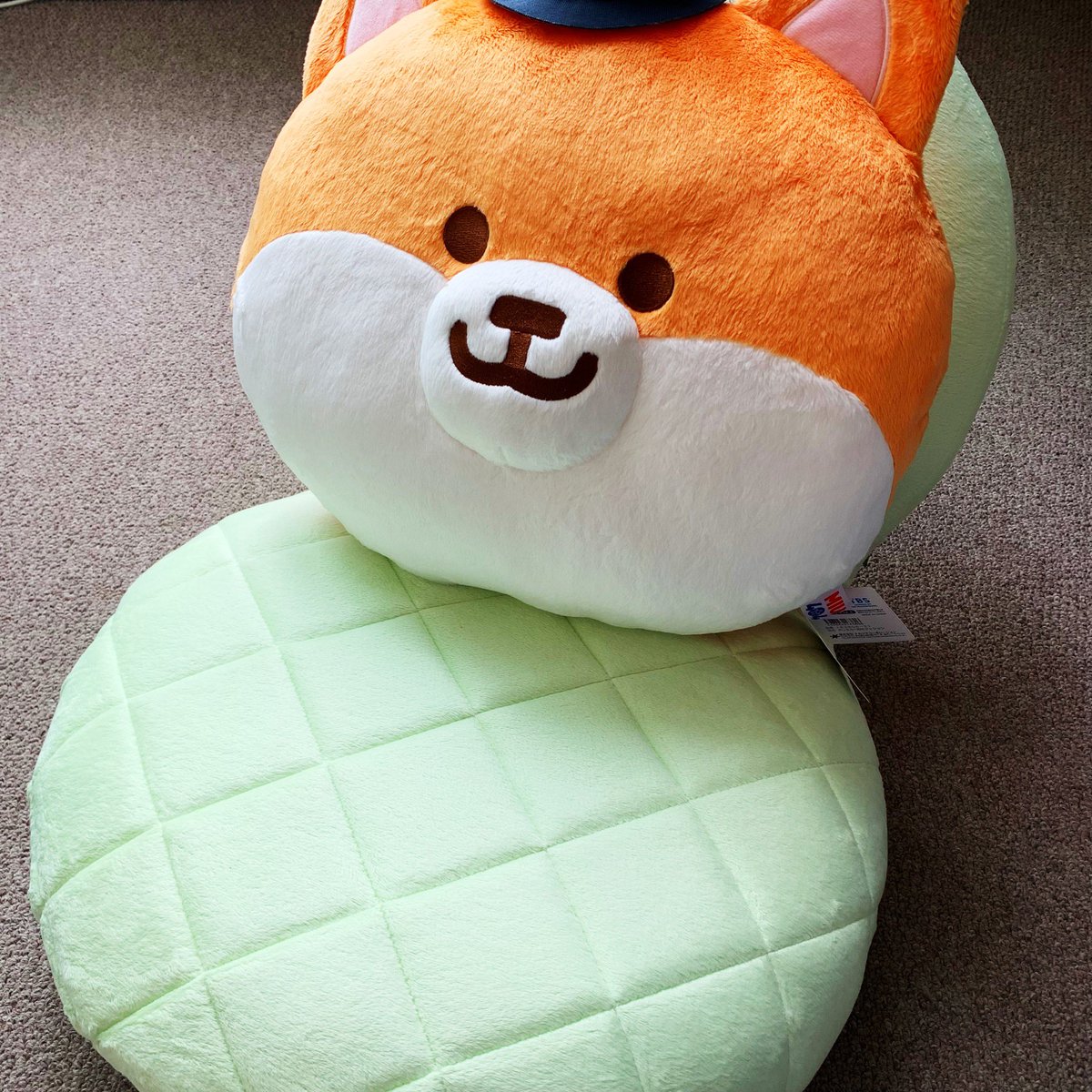 ポリまるクッション