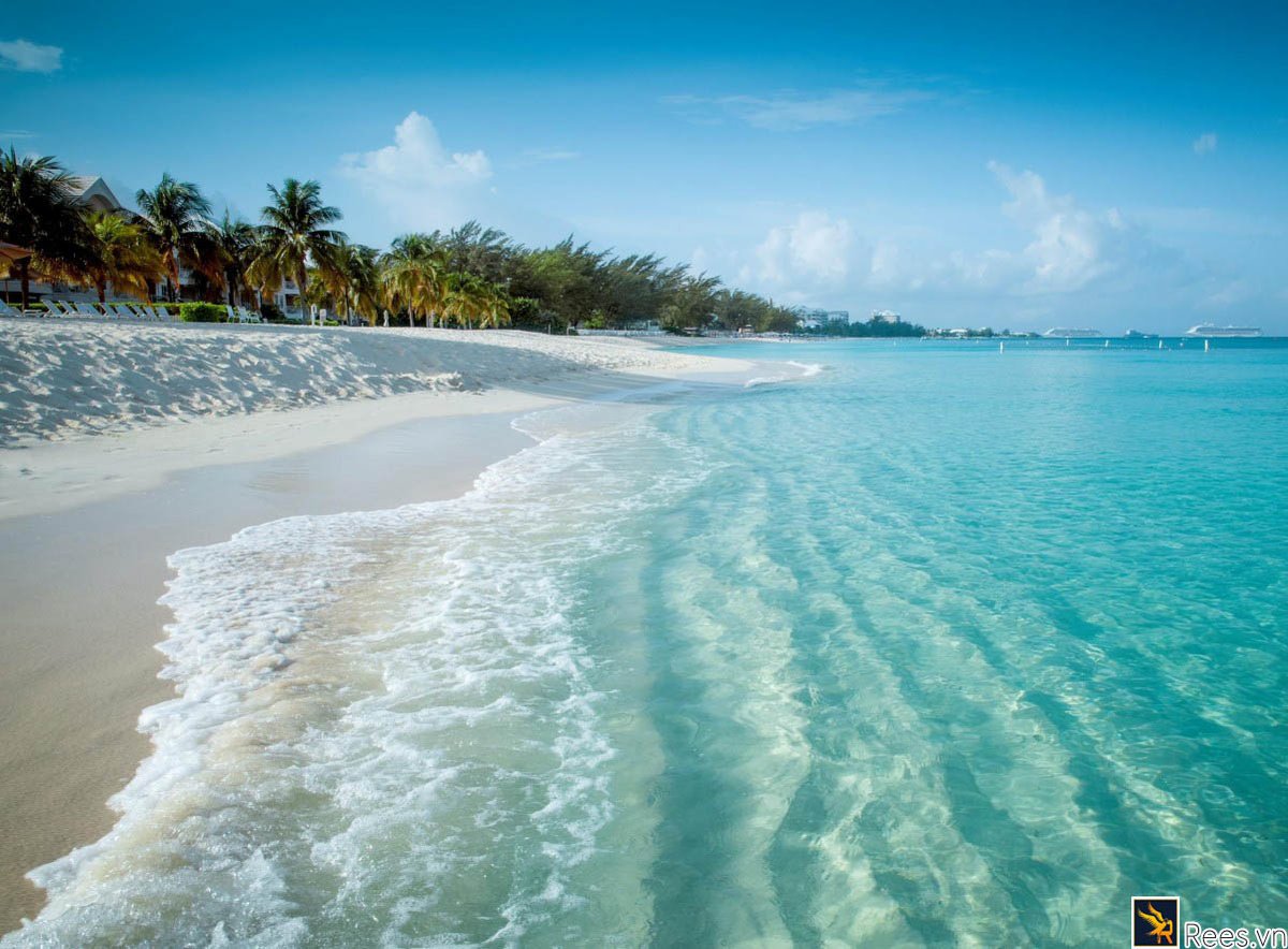 batdongsanrees's tweet photo. bất động sản nha trang, bất động sản cam ranh, cam ranh có gì vui, resort cam ranh, đất nền cam ranh, cam ranh có món gì ngon, vịnh cam ranh ở đâu, biển cam ranh đẹp không, cam ranh real estate, cam ranh nha trang khánh hòa
https://t.co/dMIOGj2EK7
#camranh https://t.co/k1UCyMoKdN