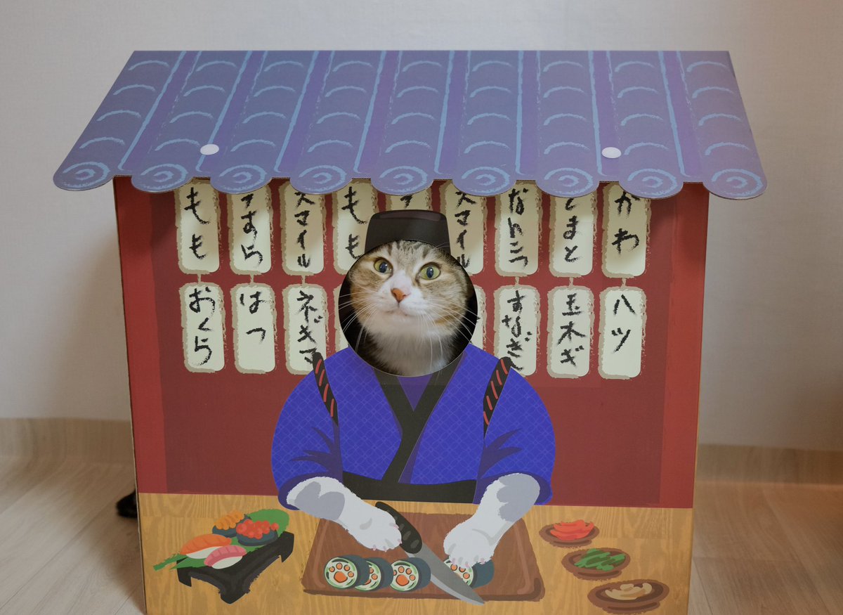 햄튜브 tweet media