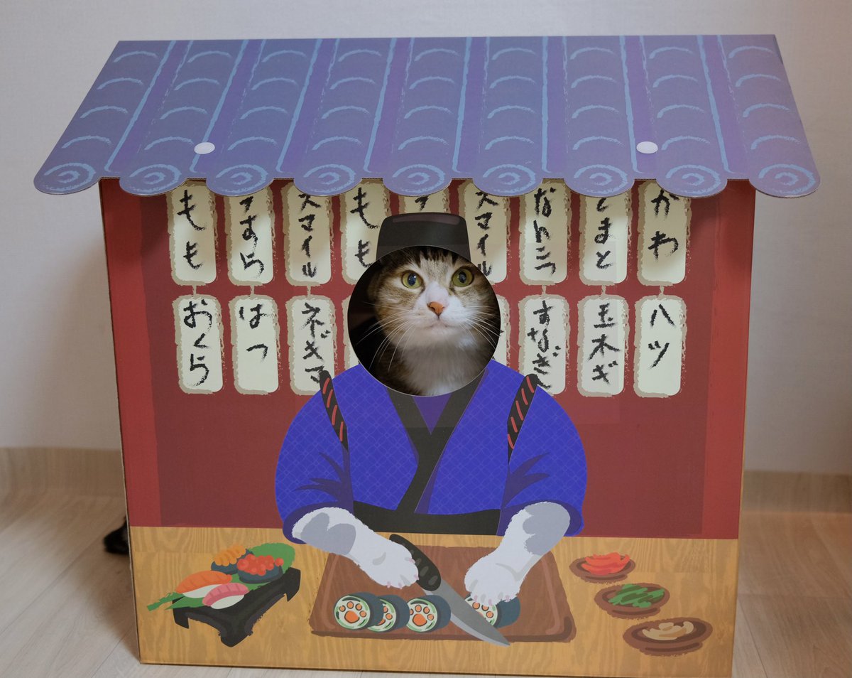 햄튜브 tweet media