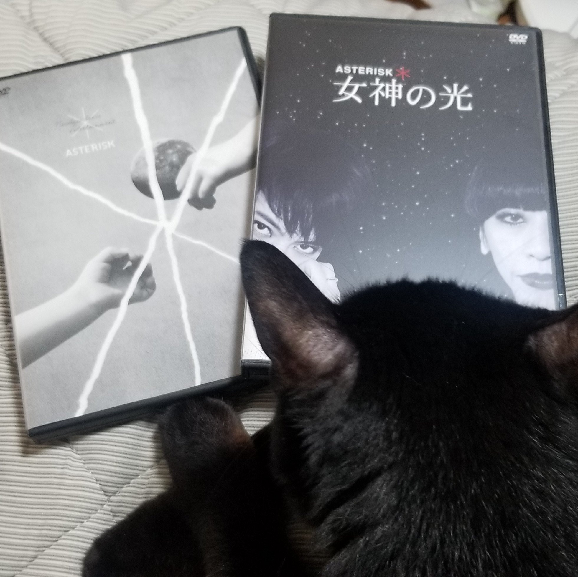 2015年 公演 舞台 ASTERISK 女神の光 DVD 2015年 公演 舞台 ASTERISK 女神の光 DVDの通販 by COTD's Shop