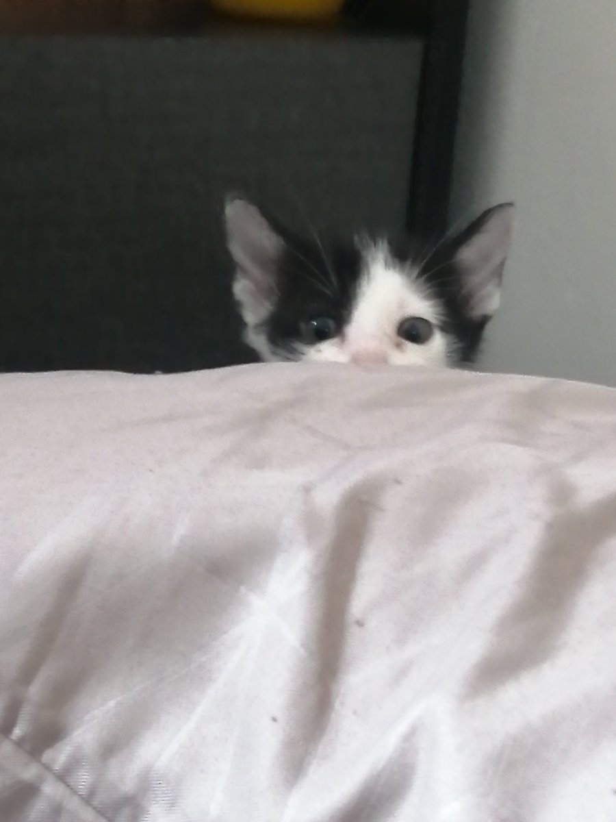 มันเอาอีกละ