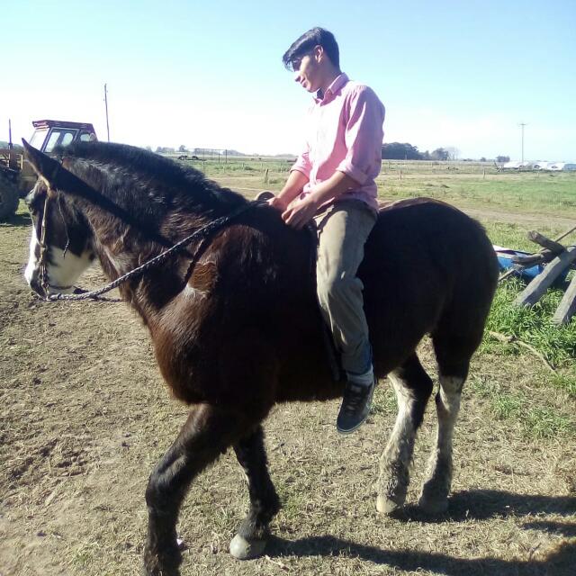 #NuevaFotoDePerfil