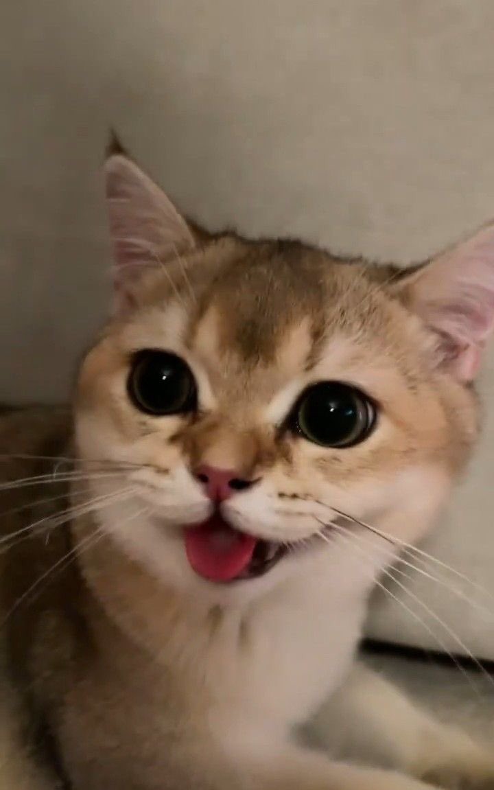 ang cute-cute mo :((