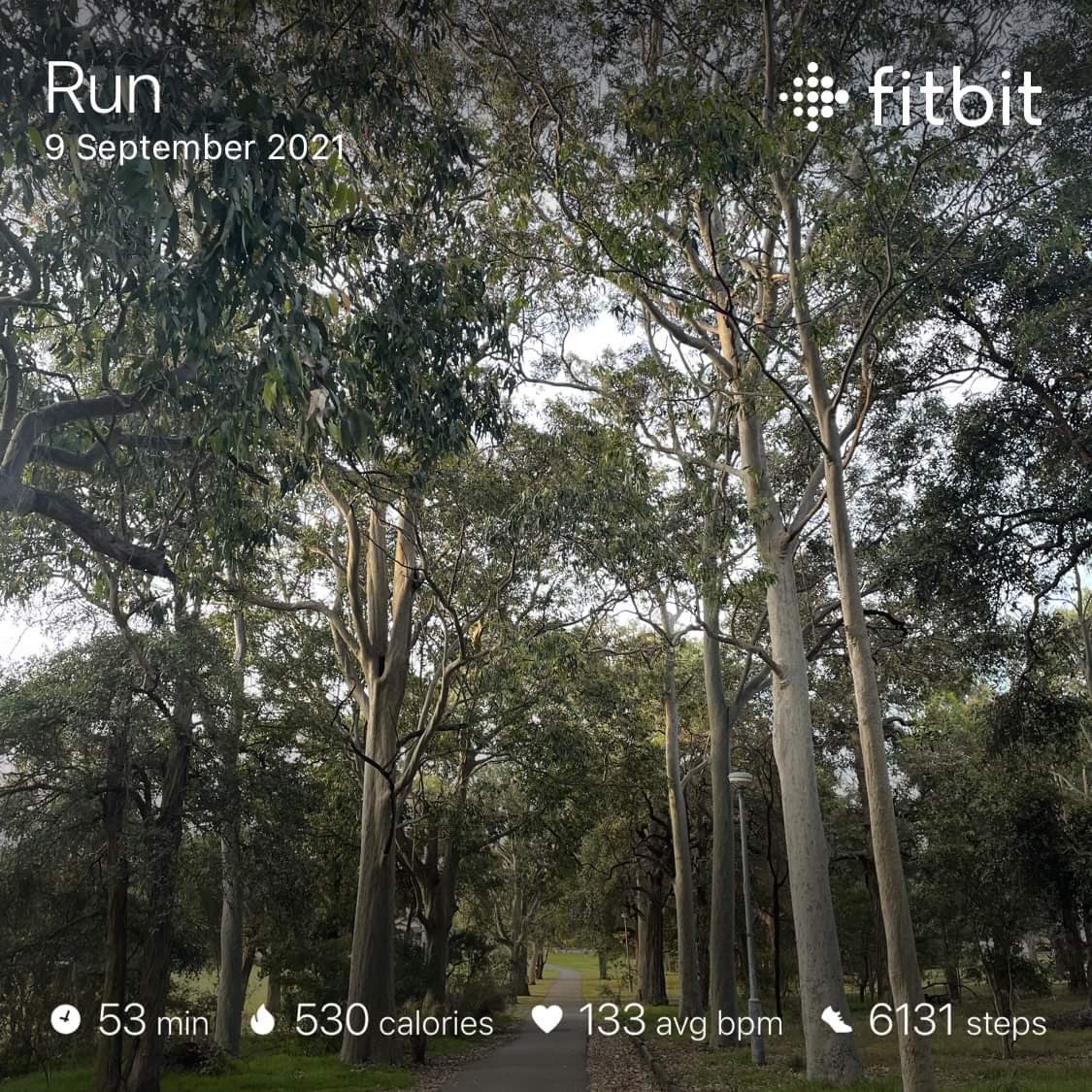 autumnalfox90's tweet image. I’m trying the Couch to 5k in order to get back on top of my fitness, mental well-being, and just generally suffer. Today was a good one. Cannot wait to try on some trails when Sydney opens up a bit more 👟✨ #running #c25k #lockdownrun