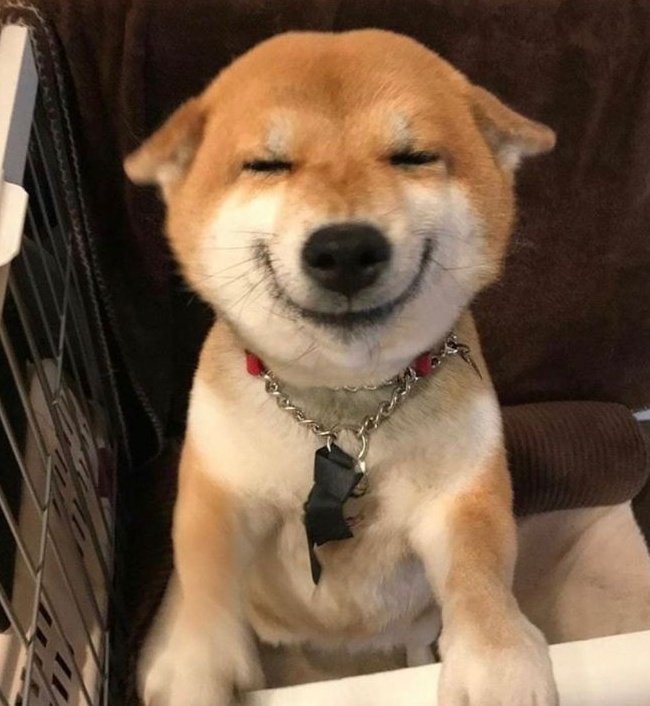 TayTawanAsDog's tweet photo. https://t.co/jyOox05EAf