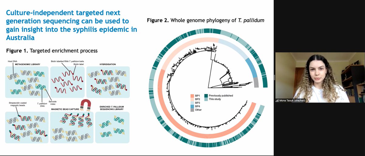 Syphilis has not been left to the history books, but is making a come-back. @monalisa_taouk illustrates, there are a number of lineages and sublineages circulating in Australia following direct sequencing from clinical samples #MicroSeq2021