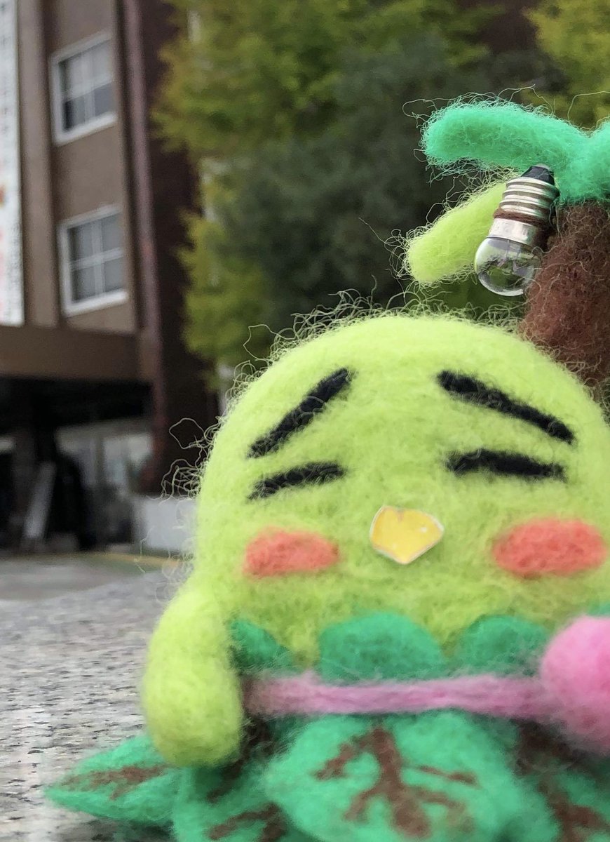 yasshi840's tweet image. フォロワーさんが増えてきたので新しく自己紹介きゃう🤢🌴
名前  やっしー
八潮市名産の枝豆と小松菜の妖精🥬
ほっぺからは花桃の香りがするきゃう。八潮市の町工場を応援してますきゃう📣今は活動自粛中きゃう。
時々ひょっこり出没してるきゃう。
#八潮市 #八潮