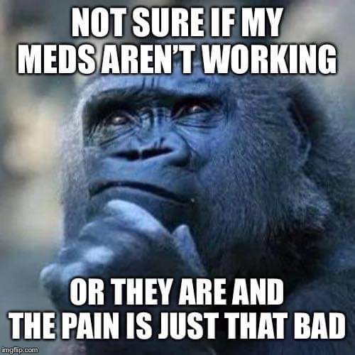 KentuckianaEDS's tweet photo. https://t.co/K0T63dTADr